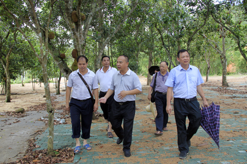 陈可猛副市长考察金沙水温泉漂流度假村景区